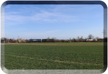28.03.2021, zwischen Bruchsal - Am Mantel und Sportzentrum, Lokführer von 186 496 wurde zur Bremsung genötigt.
