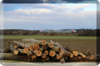 24.01.2021, RE4 von Mainz nach Karlsruhe bei Neudorf