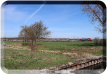 28.03.2021, Karlsdorf Saalbach ü. Saalbachkanal EC7 mit 101 068